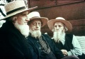 Amish02.jpg
