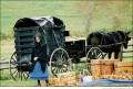 Amish03.jpg